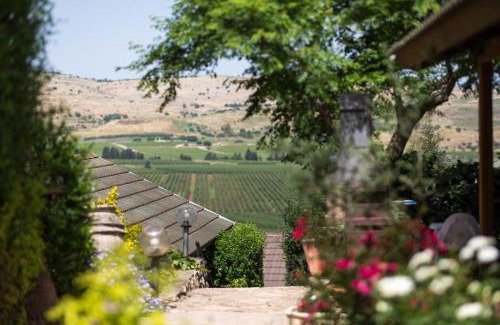 Ramot Naftali Bed & Breakfast | Discover אביב בכרם - Cozy Cabins with Jacuzzi & Scenic Views