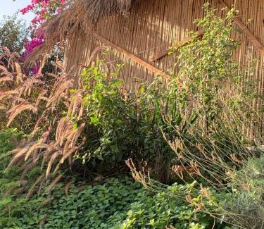 Arad House | Discover Oasis Comfort at אוהל לוט - Rated 9.1/10!