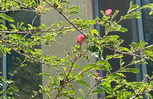 Yodfat Apartment | Discover Home at בית המרפא שלי - Family-Friendly Retreat