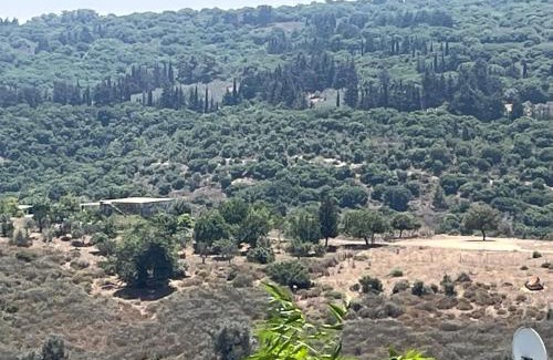 Yodfat Apartment | Discover Home at בית המרפא שלי - Family-Friendly Retreat