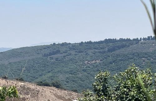 Yodfat Apartment | Discover Home at בית המרפא שלי - Family-Friendly Retreat