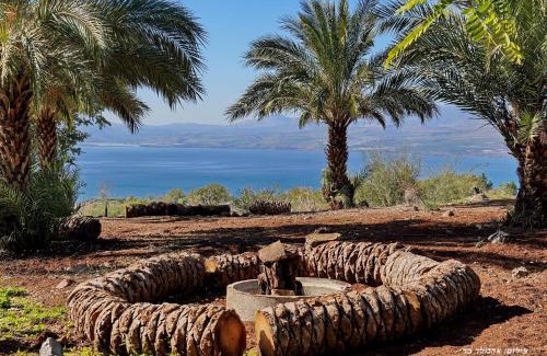 Ramot Cabin | Escape to בקתה בתמרים: Guest Rated 9/10 with Pool & Hot Tub