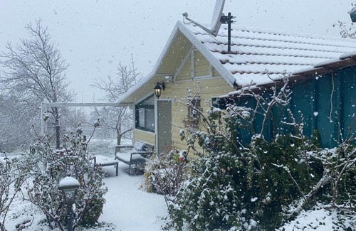 Sha'al Bed & Breakfast | Forest Protector Lodge: Family-Friendly Retreat Awaits