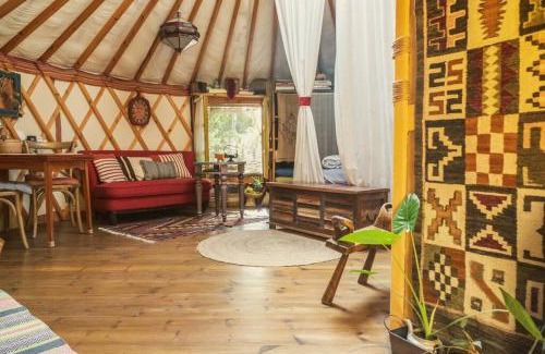 Abirim House | Experience The Yurt in Abirim - Guest Rated 10/10!