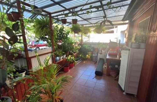 Ashkelon Villa | וילה באשקלון