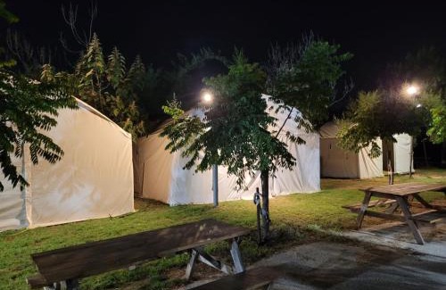 Shadmot Dvora Other | Relax at חאן דרך העץ - Family-Friendly Camping Retreat