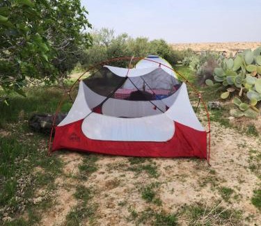 Mitzpe Ramon Other | Discover Noam Farm: Family-Friendly Retreat in the Desert