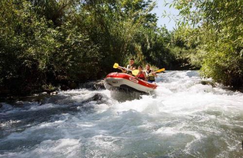 She'ar Yashuv Cabin | Experience Nature at ירוק בטבע - Rated 9.4/10 by Guests