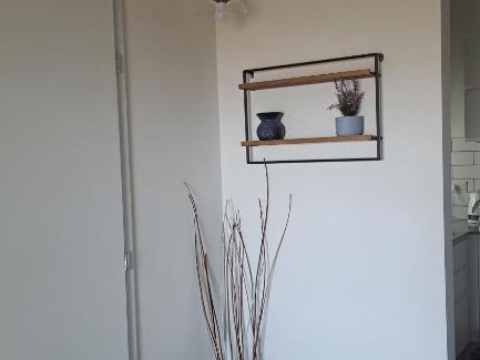 Gan Ner Bed & Breakfast | Discover כוכב הגילבוע: Family-Friendly Retreat Awaits