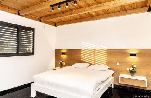 Mishmar HaYarden Villa | Maiori Boutique Villa: Private Pool & Scenic Views for Families