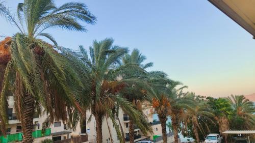 Tiberias Apartment | Dreamy Getaway at Kinneret with Ocean View Amenities