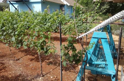 Ramot Naftali Cabin | Relaxing Retreat in the Mountains with Pool & Family Amenities