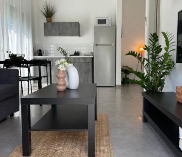 Snir Apartment | Oceanview Suite at the Banias: Guest Rated 9.6/10