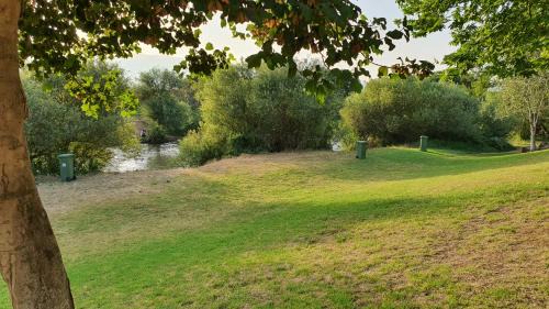 Amir Apartment | Discover Peaceful Retreat at פינה בגינה with Pool Access