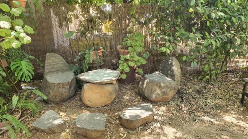 Amir Apartment | Discover Peaceful Retreat at פינה בגינה with Pool Access