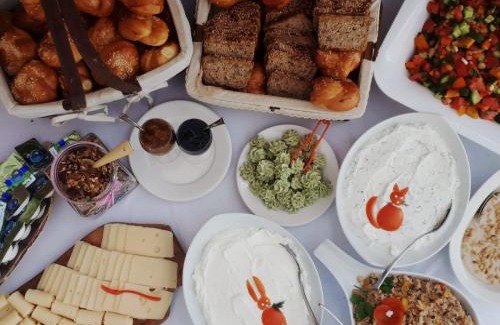Ein Yahav Apartment | Experience the Magic of צימרגולה - Rated 9.1/10!