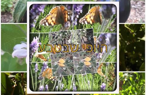 Tsiv'on Apartment | Family-Friendly Retreat at צימרים מול הר מירון בצבעון