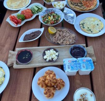 Ein Qiniyye Apartment | Family-Friendly Apartments in Israel with High Guest Ratings