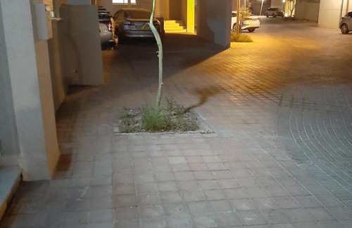 Be'er Ora Apartment | Desert Oasis: קסם במדבר באר אורה with 8/10 Rating