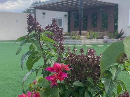 Umluj Ski Chalet | Relaxing Retreat: أستراحة وقاعة الريان with Pool Access