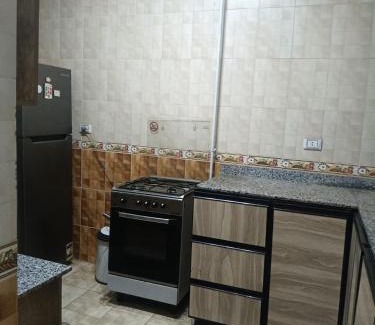Helwan Apartment | بفضل الله شقه فندقيه مكيفه ونت وحارس عقار تري النيل