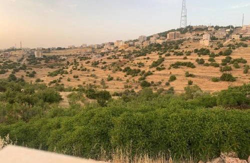 Ajloun Governorate House | Cozy Furnished Home for Rent - Pet and Child Friendly