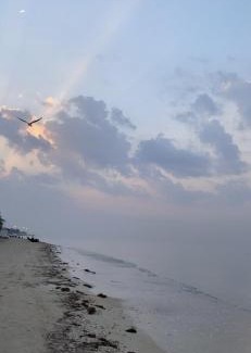 Yanbu Apartment | Pet-Friendly Oceanview Hotel: Rated 10/10 by Guests