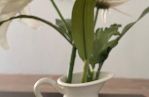 King Faisal Military City Apartment | Cozy Furnished Apartment: Ideal for Families & Budget Stays
