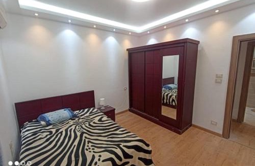 Maadi Apartment | Pet-Friendly 3-Bedroom Apartment in Maadi with High Ratings