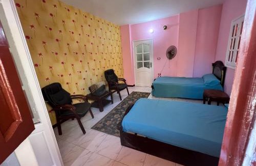 Mansoura Apartment | Modern Apartment in Downtown Mansoura Near the University