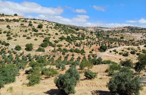Ajloun Governorate House | Pet-Friendly Retreat in عجلون صخره - Rated 10/10!