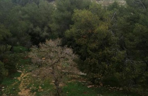 Umm Qais Apartment | Explore عمارة ام قيس الاثرية السياحية: Family-Friendly Stay