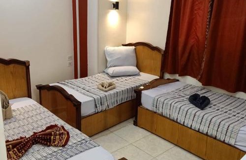 Sawhaj Hotel | Discover فندق دهب: Pet-Friendly Retreat for Families