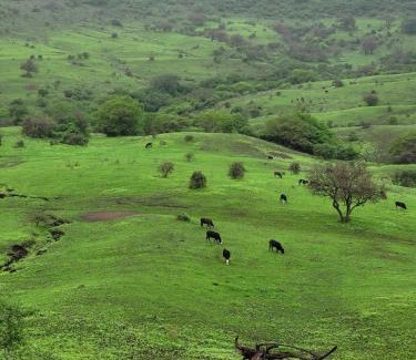 Dhofar Governorate Villa | Family-Friendly Getaway at فيلا رابية جرثنوت