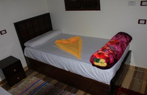 Seheil Island Cabin | Explore Kushtaka: Pet Friendly Ocean View Retreat