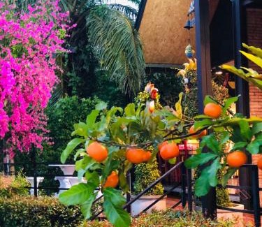 Sao Phao Ski Chalet | Discover Comfort at กอบสุข รีสอร์ท2 - Pet Friendly Retreat