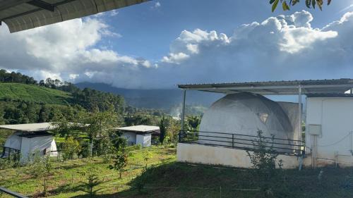 Mae Wang Other | Kid-Friendly Khangkhao Camp: Guest Rated 9/10 Experience