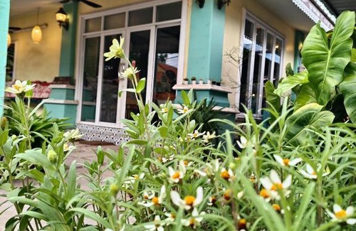 Koh Lan Bed & Breakfast | Family-Friendly Q-Thong Bungalow with Great Guest Ratings