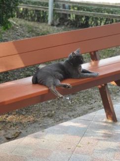Lampang House | Pet-Friendly Retreat at Jumka Chalet - Ideal Family Getaway