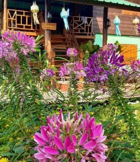 Pua House | Delightful Home Stay at ชมนาโฮมสเตย์บ้านนาคำ