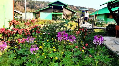 Pua House | Delightful Home Stay at ชมนาโฮมสเตย์บ้านนาคำ