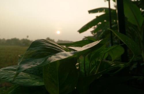 Mueang Nga House | Exceptional Stay at ต้งโฮมหละปูน with Breakfast Included