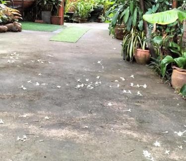 Mueang Nga House | Oceanfront Comfort at ต้งโฮมหละปูน - Rated 10/10 by Guests