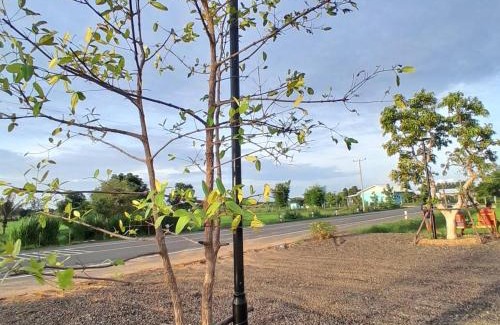 Buriram Other | Discover ทุ่งนา แคมป์: Pet & Child-Friendly Retreat
