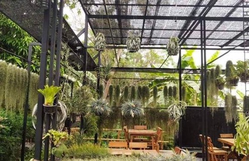 Lam Luk Ka Hotel | Discover ทิลแลนด์เซีย รีสอร์ท: Child-Friendly Retreat