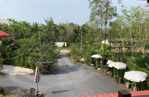 Phunphin House | Discover บ้านต้นยางคาเฟ่: 10/10 Rated Homestay Experience