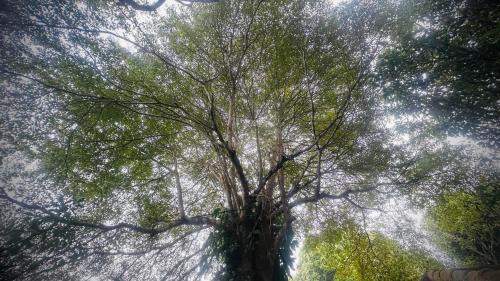 Khun Yuam Resort | Discover Ban Pataraphan in Khunyuam, Maehongson