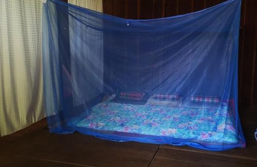 Doi Tao House | Discover บ้านสวัสดีดอยเต่า: Family & Pet-Friendly Retreat
