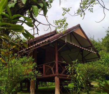Wang Nam Khiao House | Experience Nature at บ้านไร่ชายเขาวังน้ำเขียวฟาร์มสเตย์