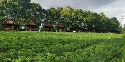 Pai House | Discover Pai Sam Mok: A Budget-Friendly Family Retreat